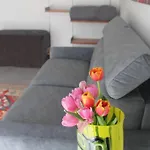 Mela Lejlighed