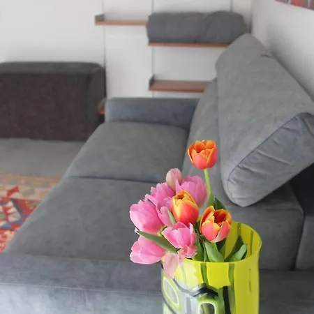 Mela Apartment